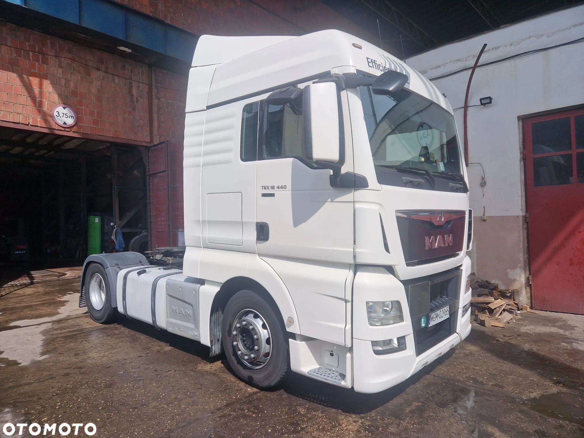 MAN TGX - 1