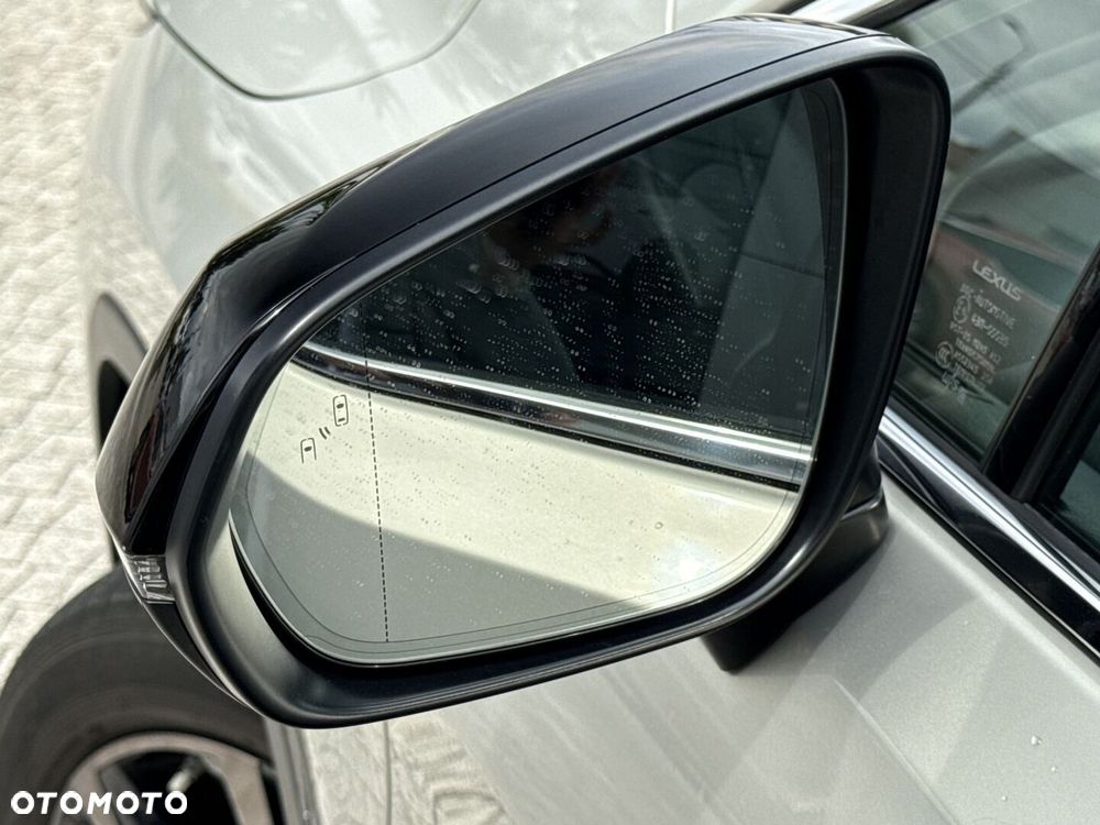 Lexus RX 450h F-Impression - 24