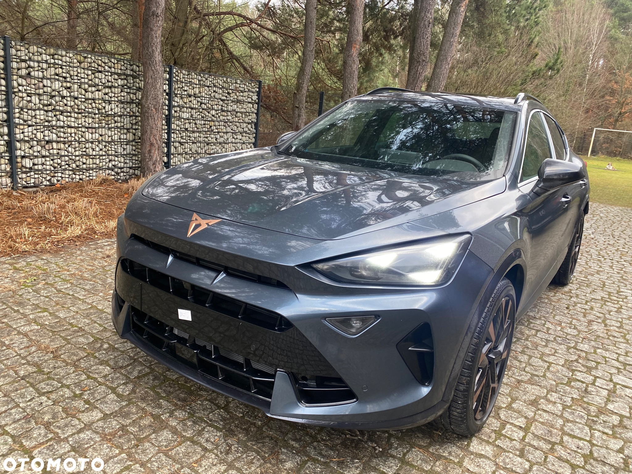 Cupra Formentor 2.0 TSI 4Drive VZ DSG - 2