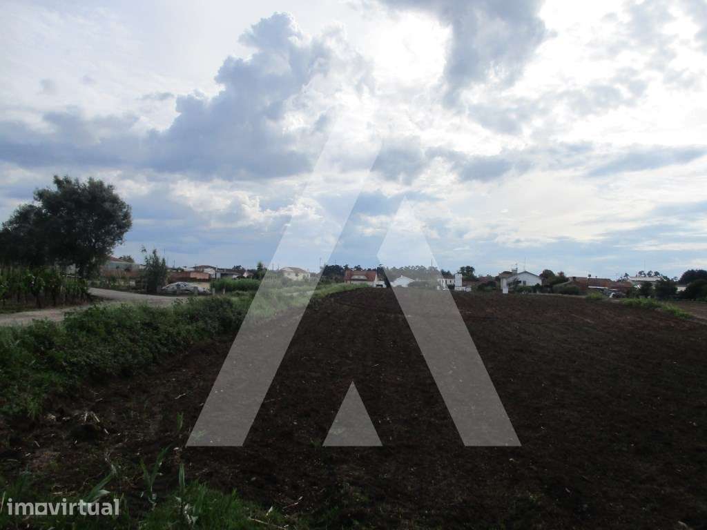 Terreno nos arredores de Oiã - Grande imagem: 2/6