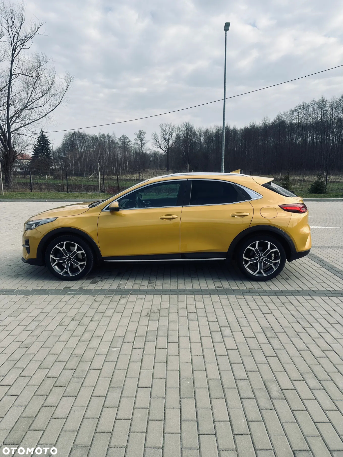Kia XCeed 1.6 T-GDI L Business Line DCT - 3