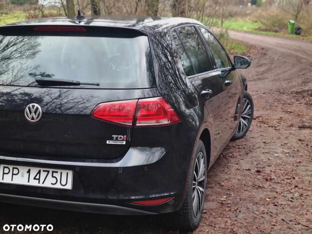 Volkswagen Golf 1.6 TDI BlueMotion Technology Allstar - 6