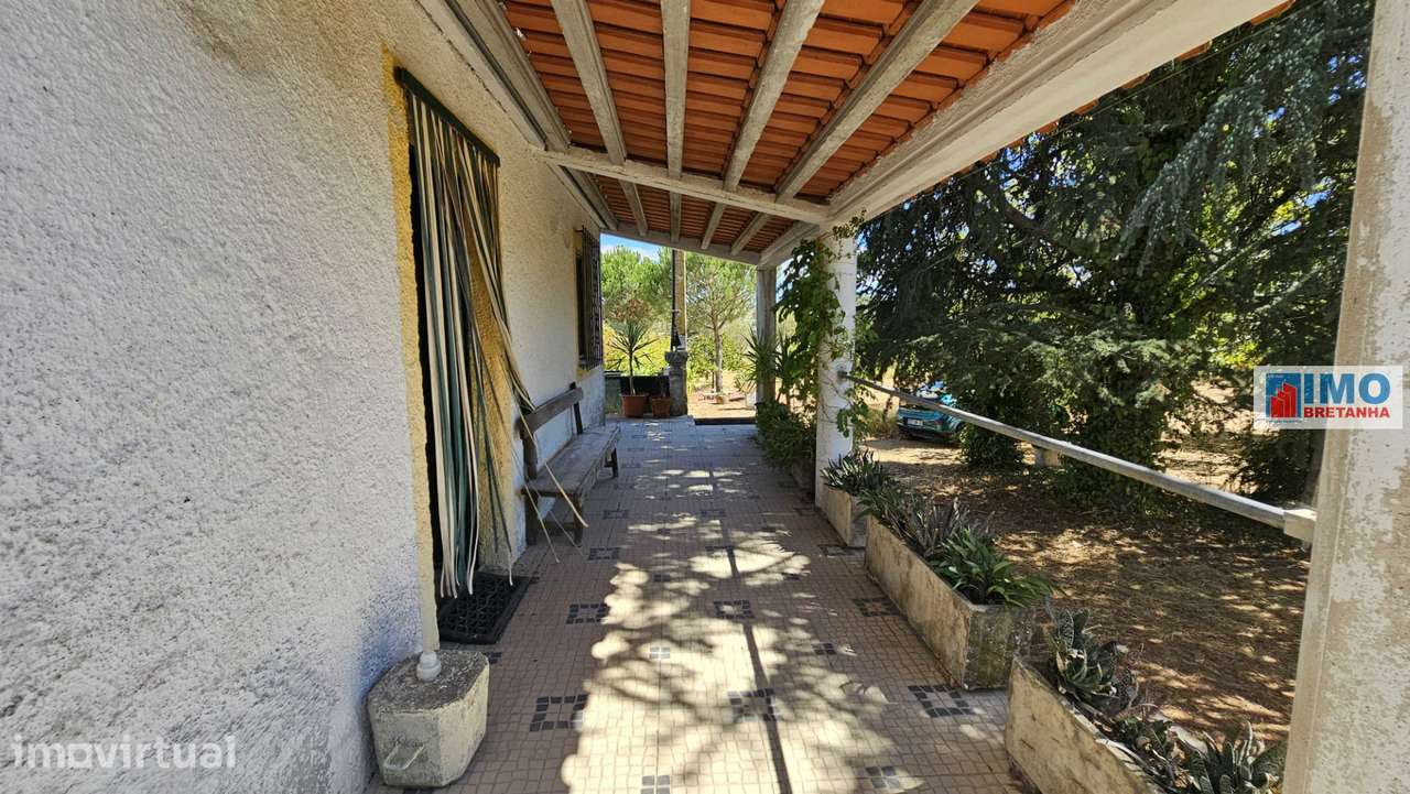 Quinta em Alvarcões  - Castelo Branco - Grande imagem: 5/40