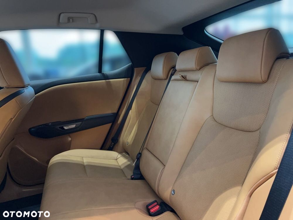Lexus RZ 300e Prestige - 6