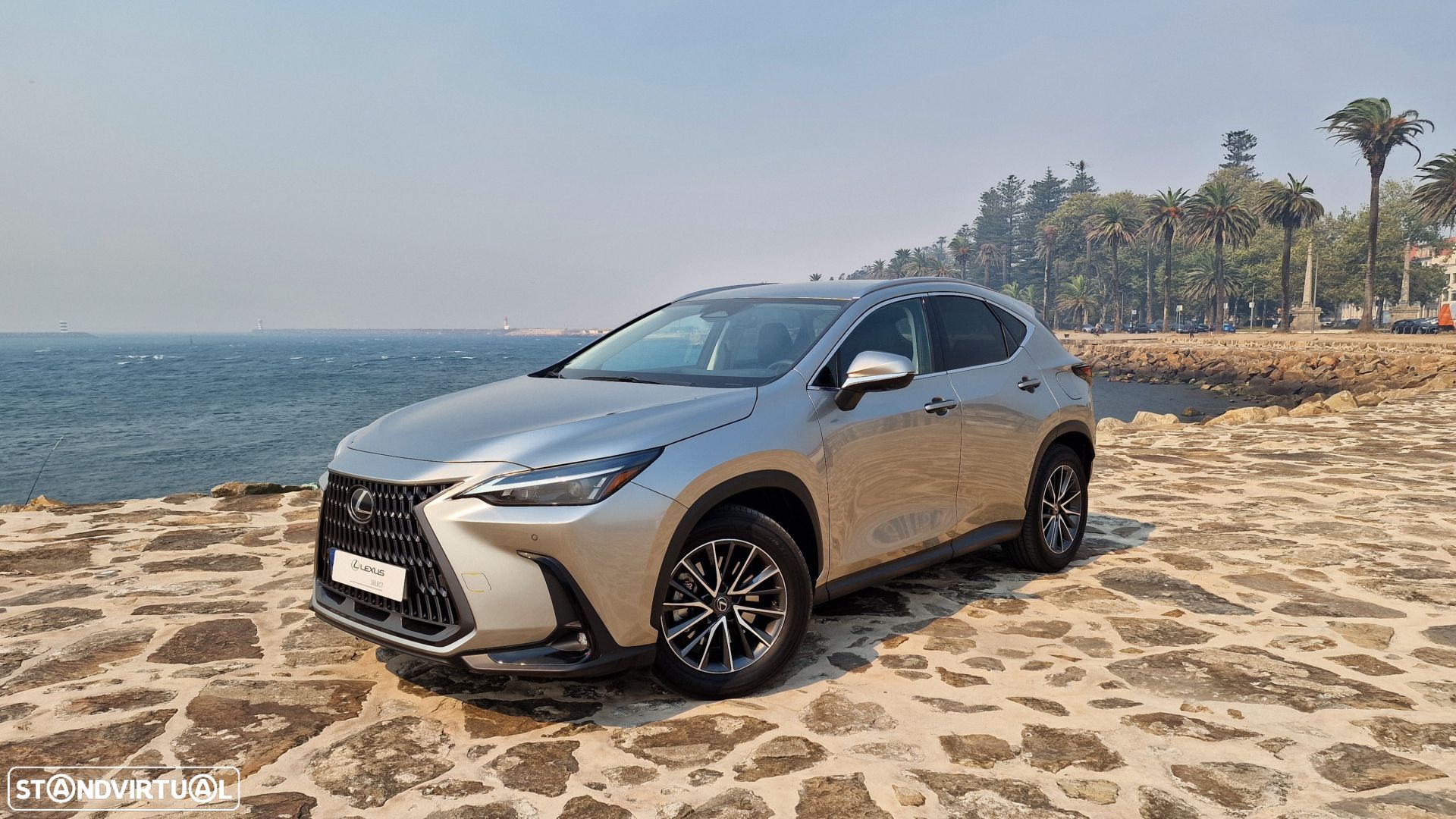 Lexus NX 450h+ Executive+ - 1