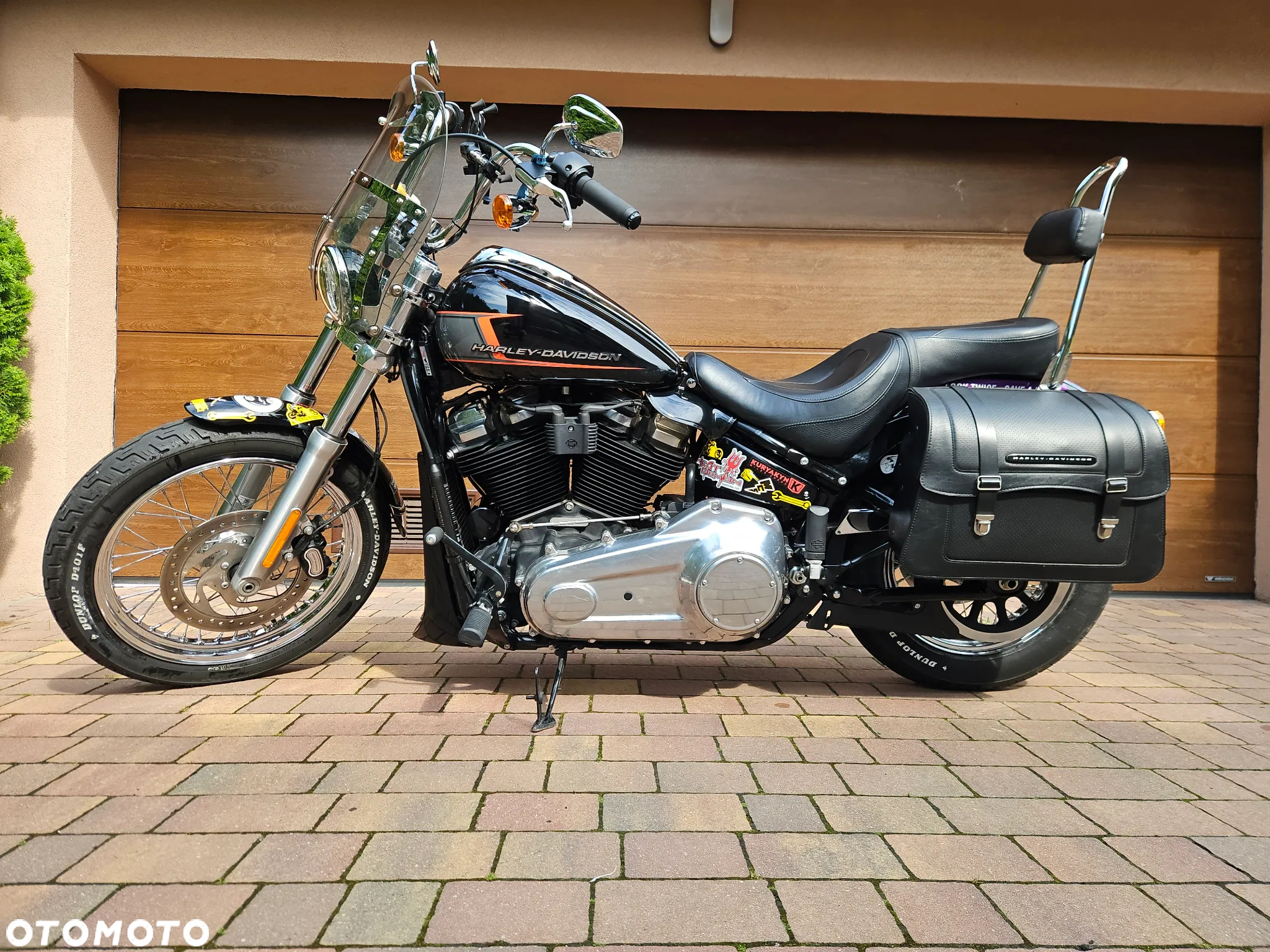 Harley-Davidson Softail Standard - 10