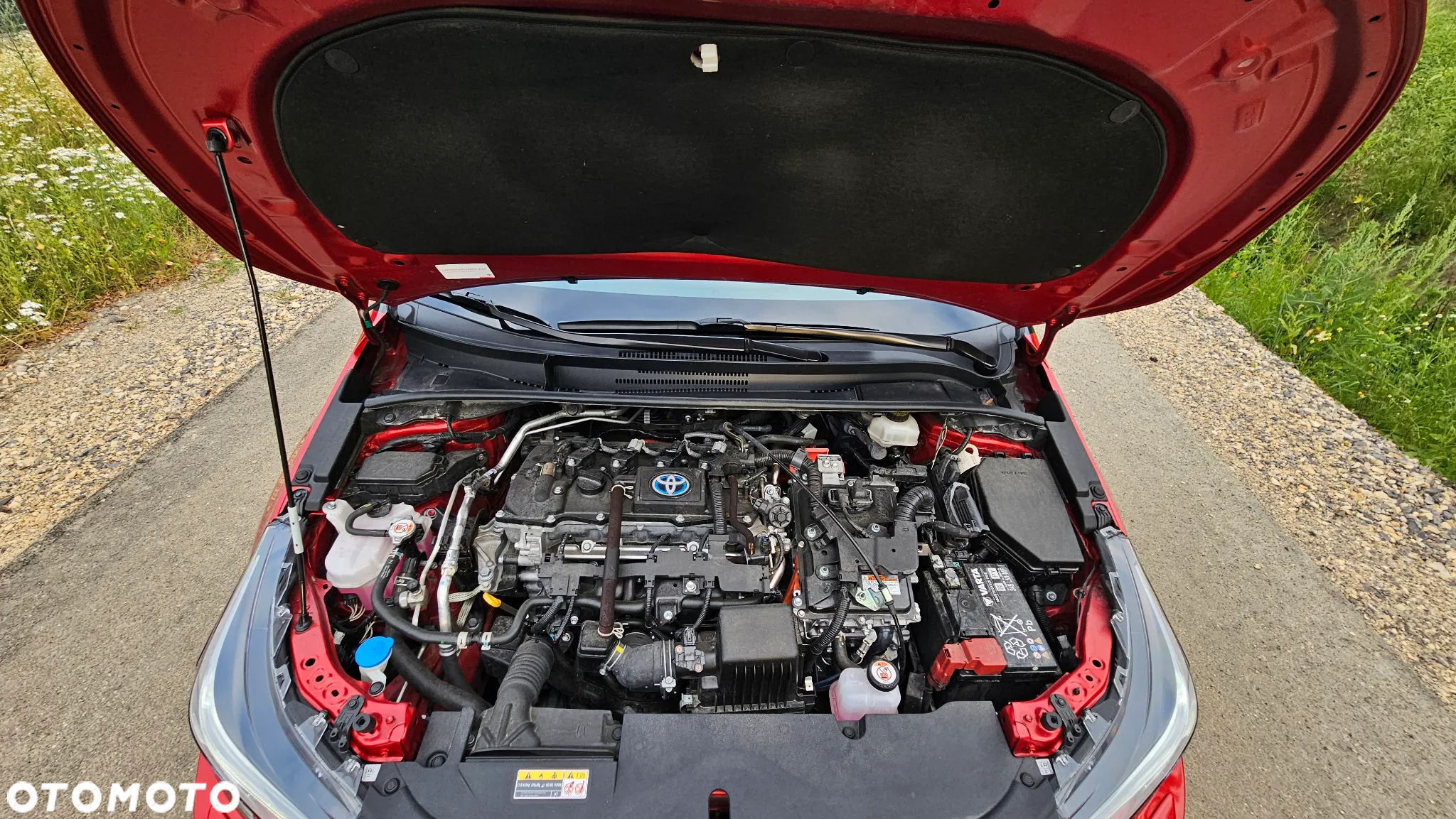 Toyota Corolla - 23