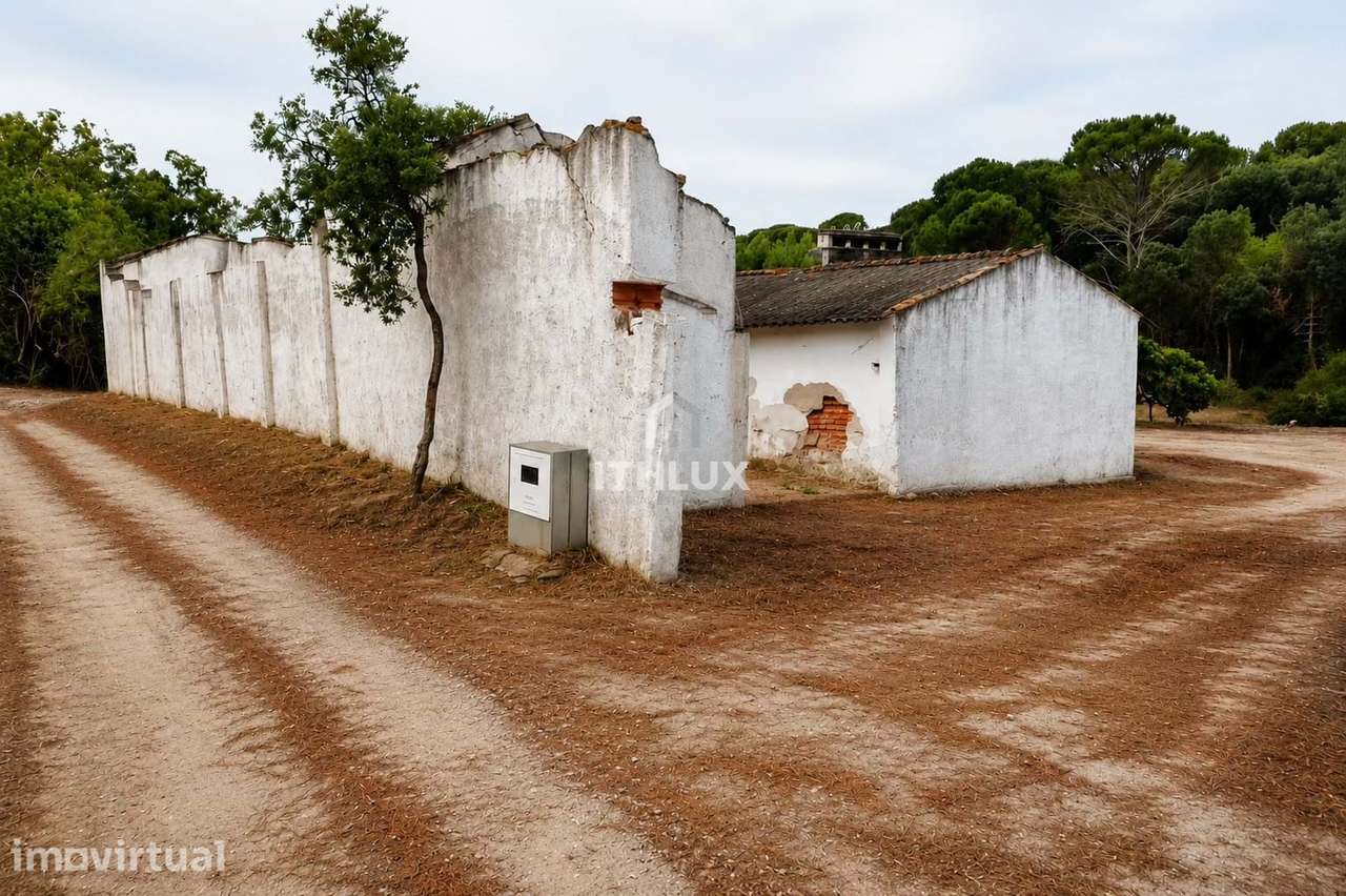 PROPRIEDADE MISTA | ~11 ha | GALVEIAS – ALTO ALENTEJO _  Habitação exi - Grande imagem: 2/22