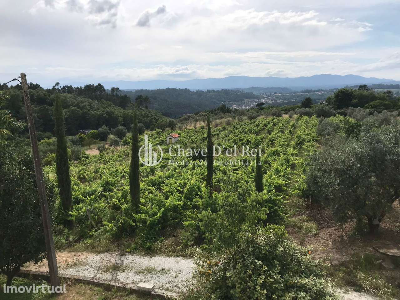 Quinta T6 Venda em Repeses e São Salvador,Viseu - Grande imagem: 2/39