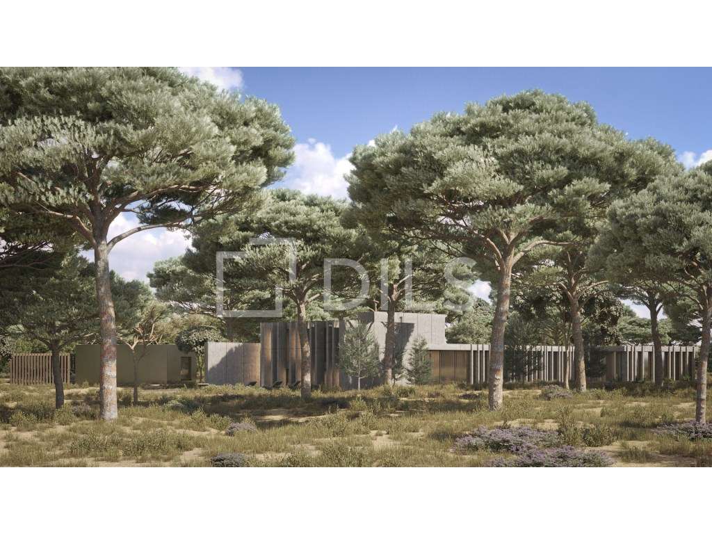 Terreno com projeto aprovado, Muda - Grande imagem: 5/13