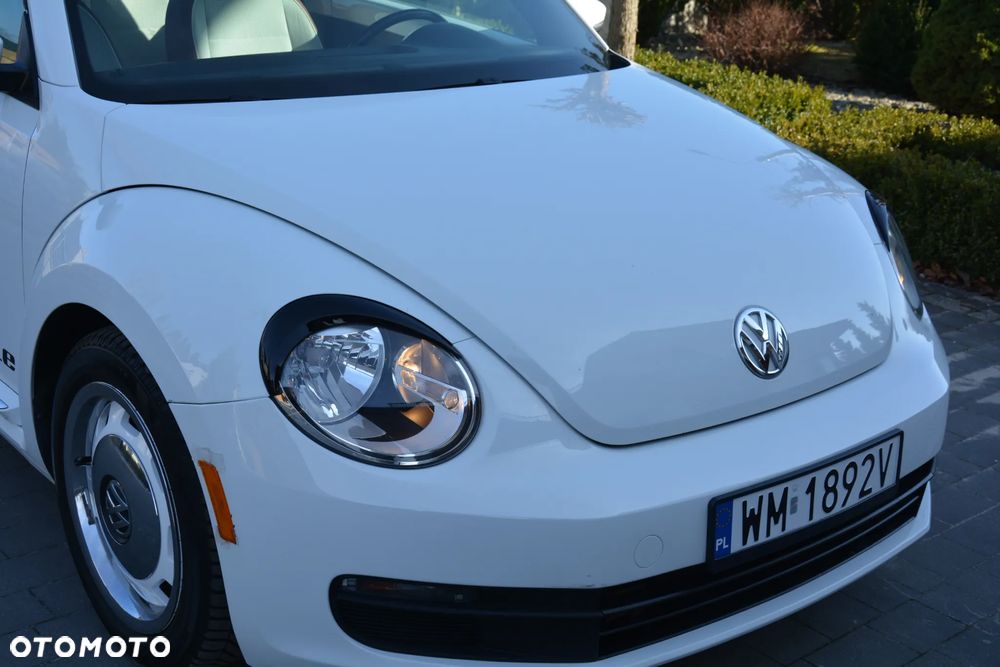 Volkswagen Beetle - 4