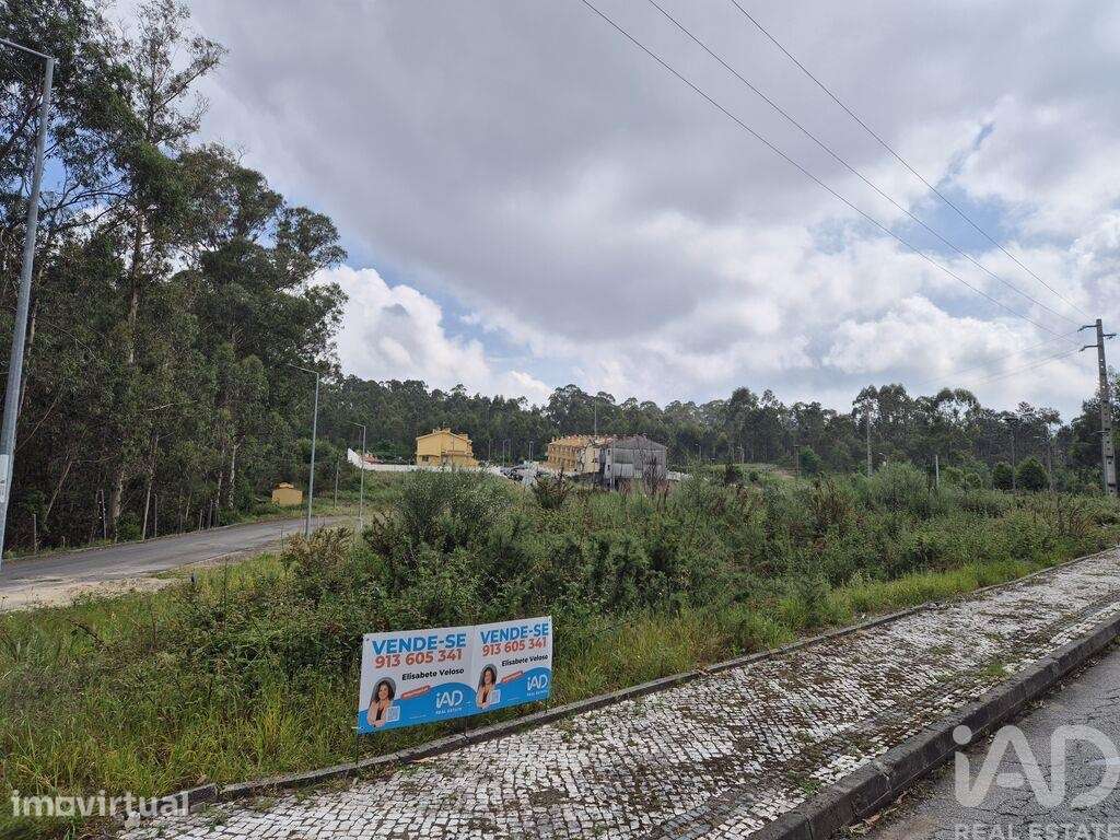 Terreno em Fajões - Grande imagem: 2/25