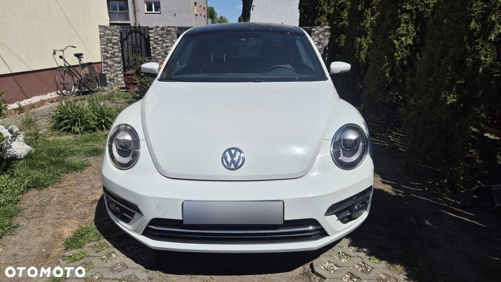 Volkswagen Beetle - 3