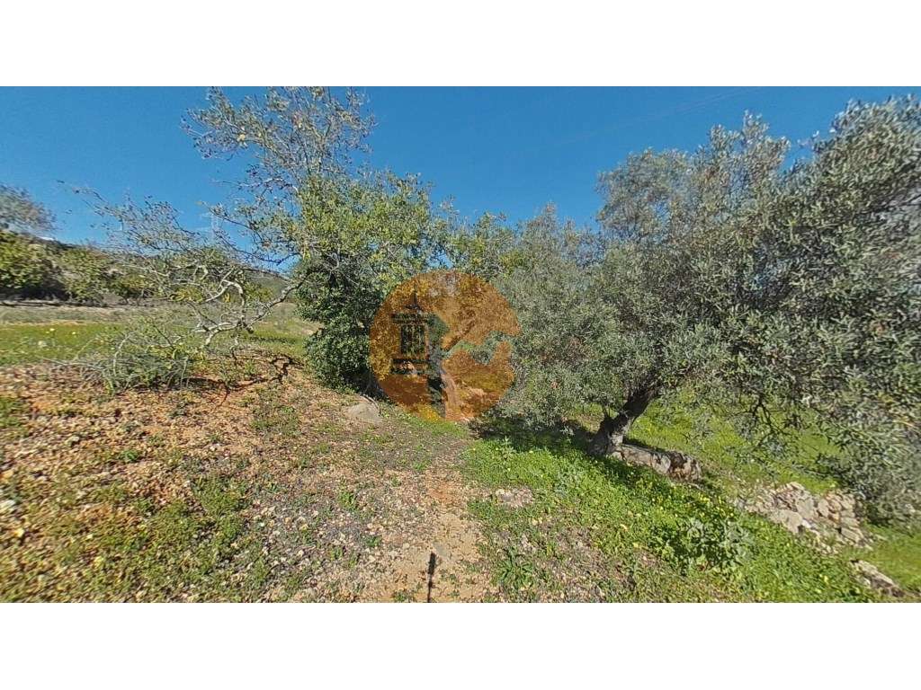 Terreno Rústico - Grande imagem: 4/34