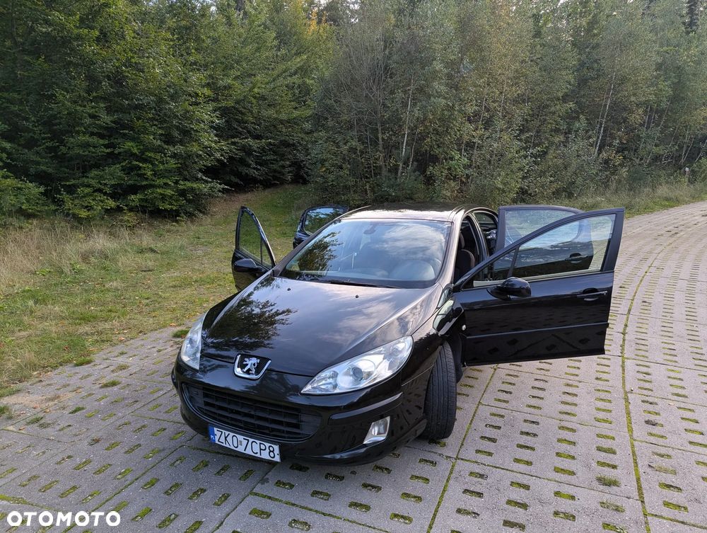 Peugeot 407 - 29