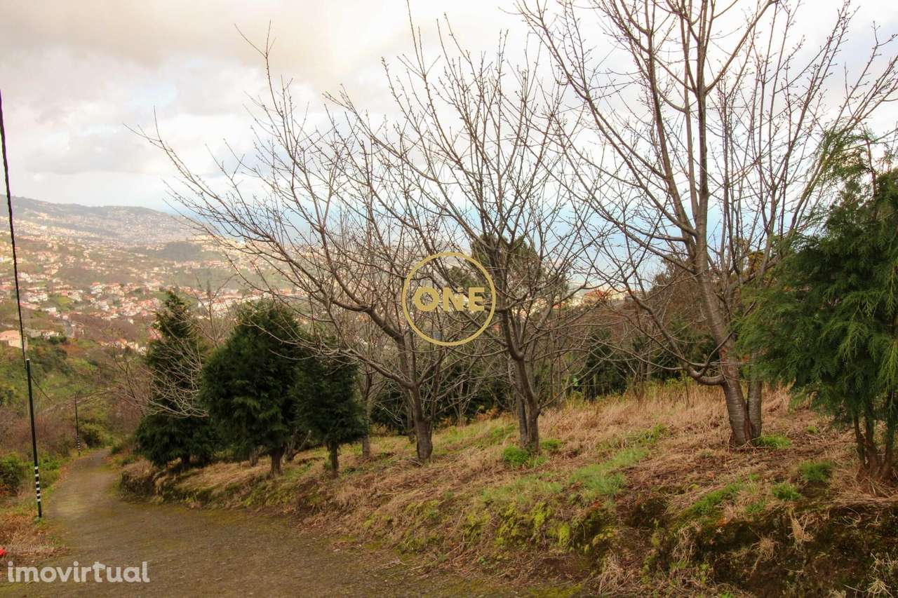 Terreno 600m2 - Grande imagem: 2/7