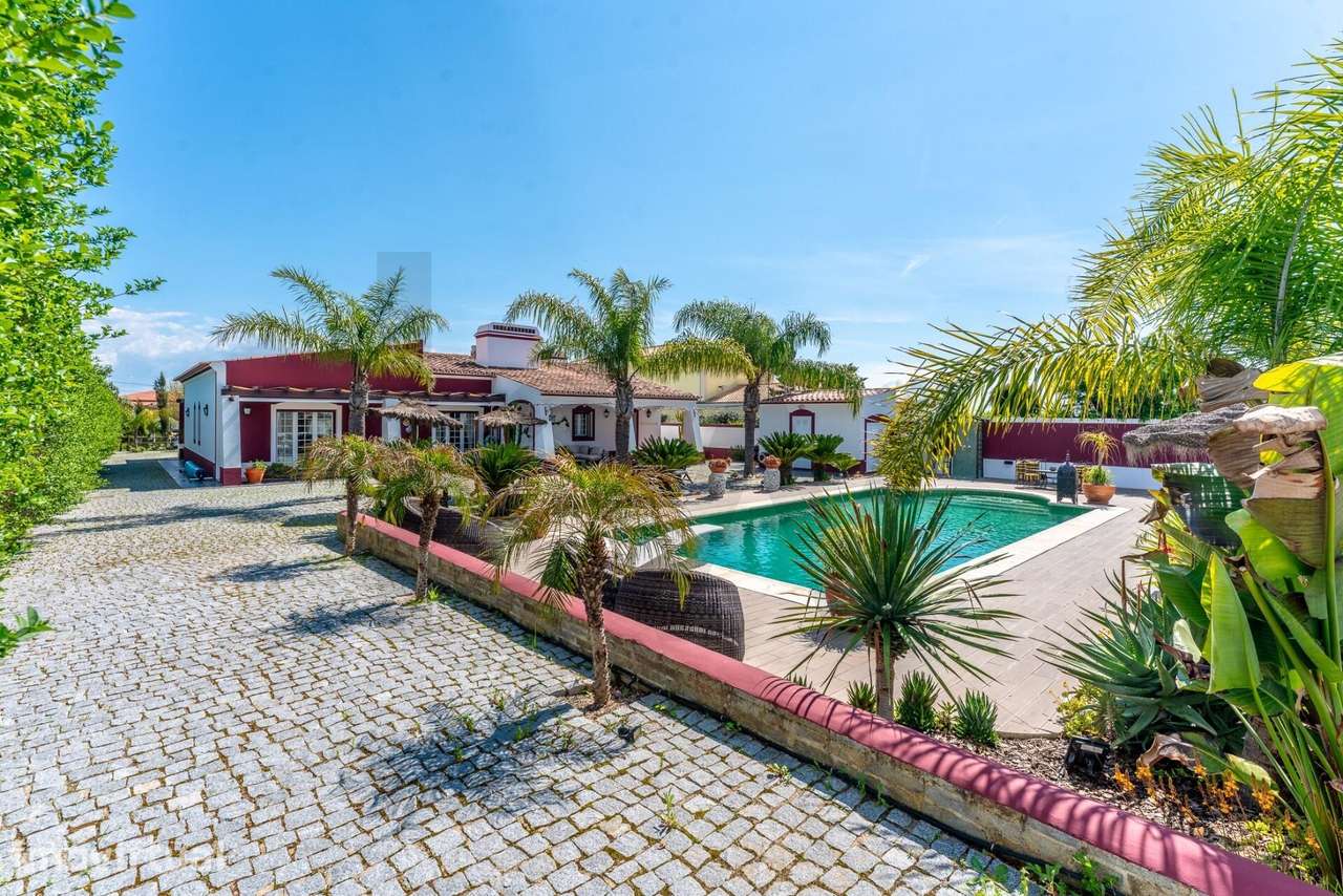 Quinta privada com 1,36 ha, piscina, olival e nascente junto a Monsara - Grande imagem: 3/47