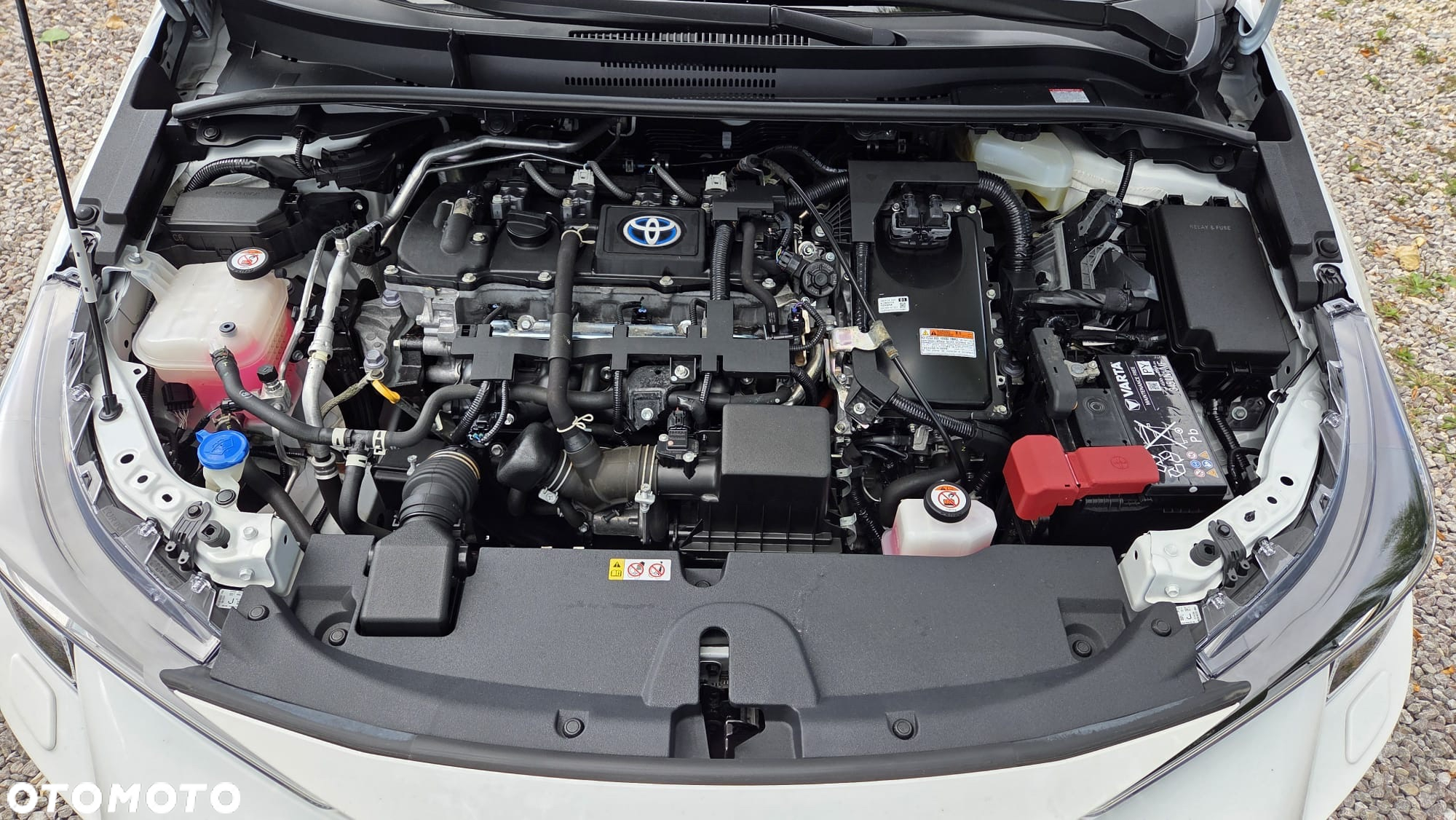 Toyota Corolla 1.8 Hybrid Business Edition - 24