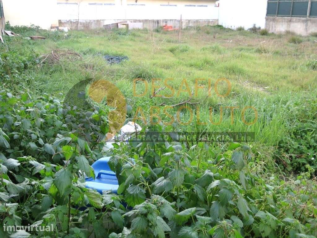 Terreno Urbano Geminada ou Isolada. Quinta do Conde - Grande imagem: 4/6