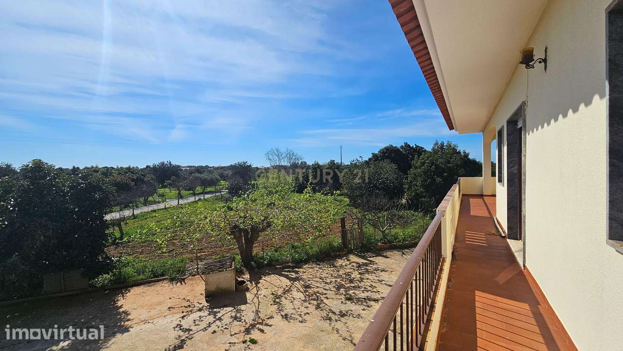 Moradia T3+1 | Garagem | Casa de Apoio T2 | Pomar 9480m2 | S.B.Messine - Grande imagem: 5/44