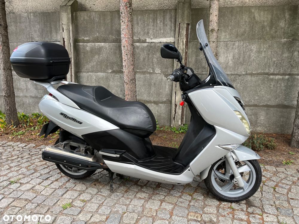 Peugeot Citystar - 4