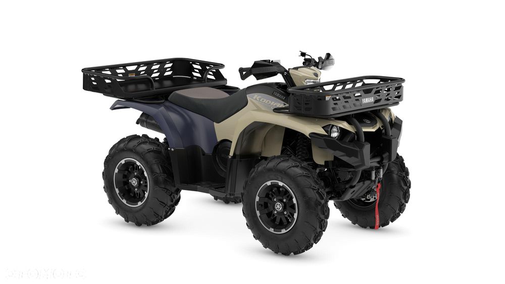 Yamaha Kodiak - 1