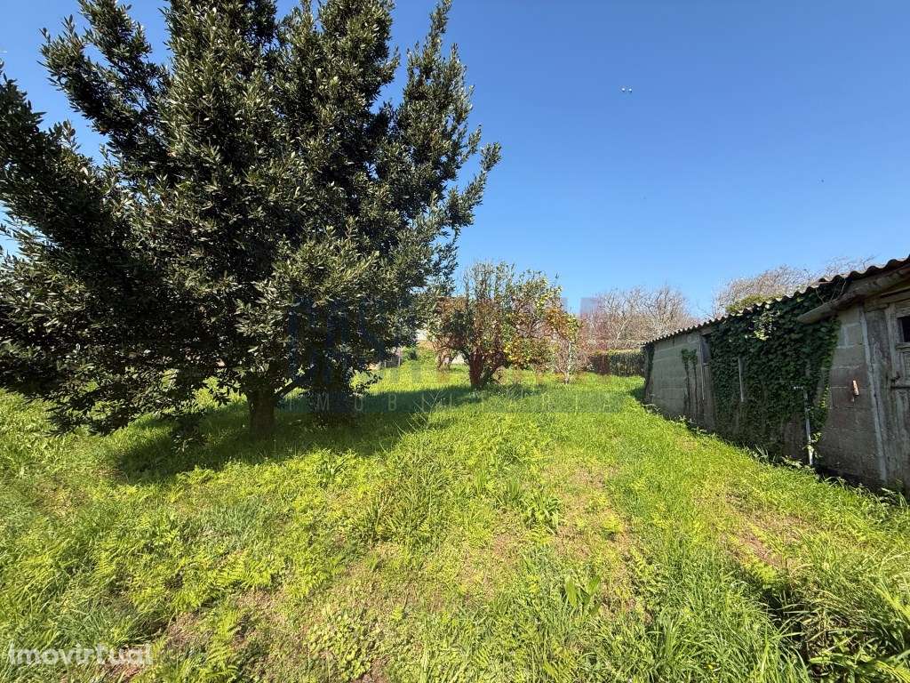 Terreno Beiriz - 41m de Frente - Ideal para Moradias - Grande imagem: 4/25