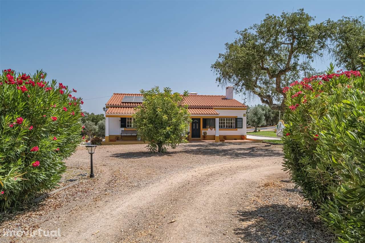 Quinta dos Sobreiros Velhos  - Azaruja - São Bento do Mato - Grande imagem: 5/38