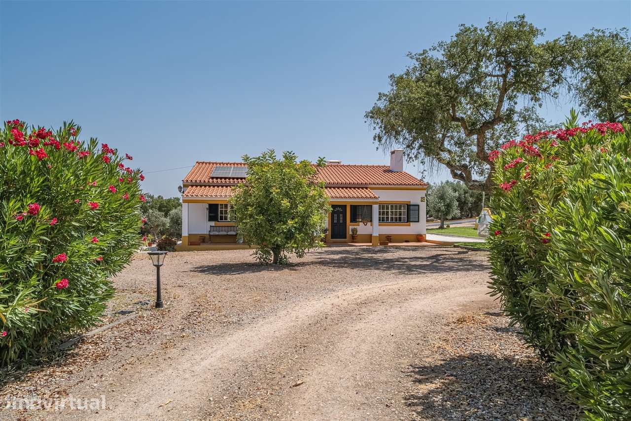 Quinta dos Sobreiros Velhos  - Azaruja - São Bento do Mato - Grande imagem: 5/38