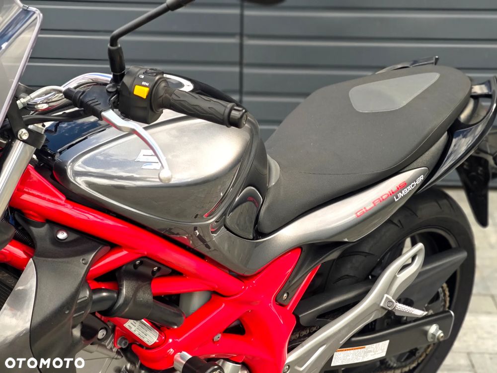 Suzuki Gladius - 28