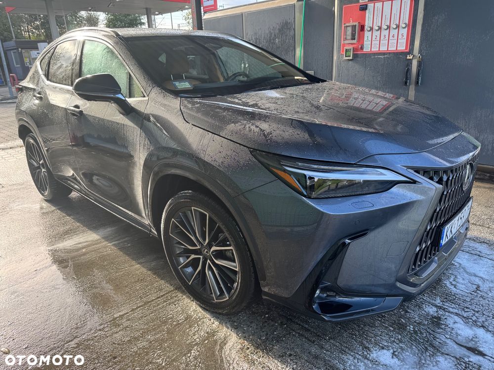 Lexus NX 350h Omotenashi AWD - 3