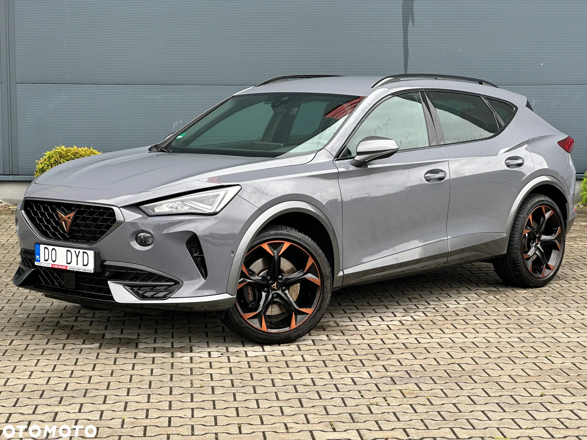 Cupra Formentor 2.0 TSI 4Drive VZ DSG - 2