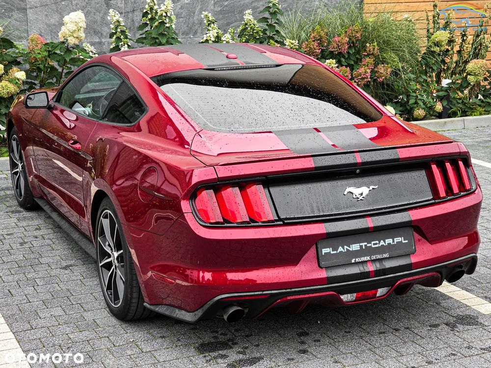 Ford Mustang 2.3 EcoBoost - 12