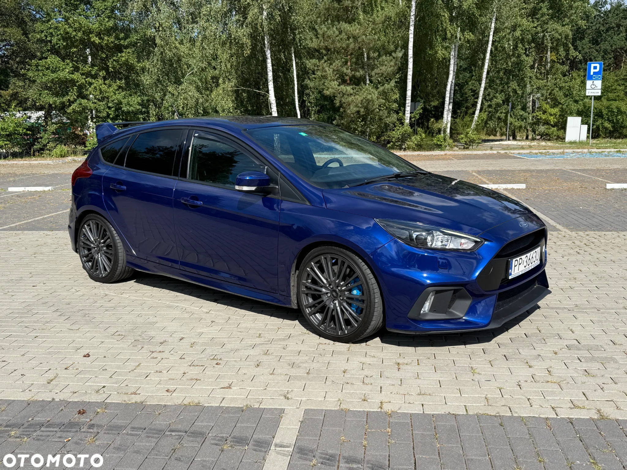 Ford Focus 2.3 EcoBoost S&S Allrad RS - 31