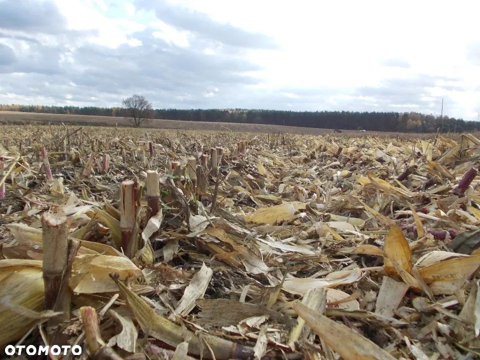 EMMAROL EMH 12/S - 19