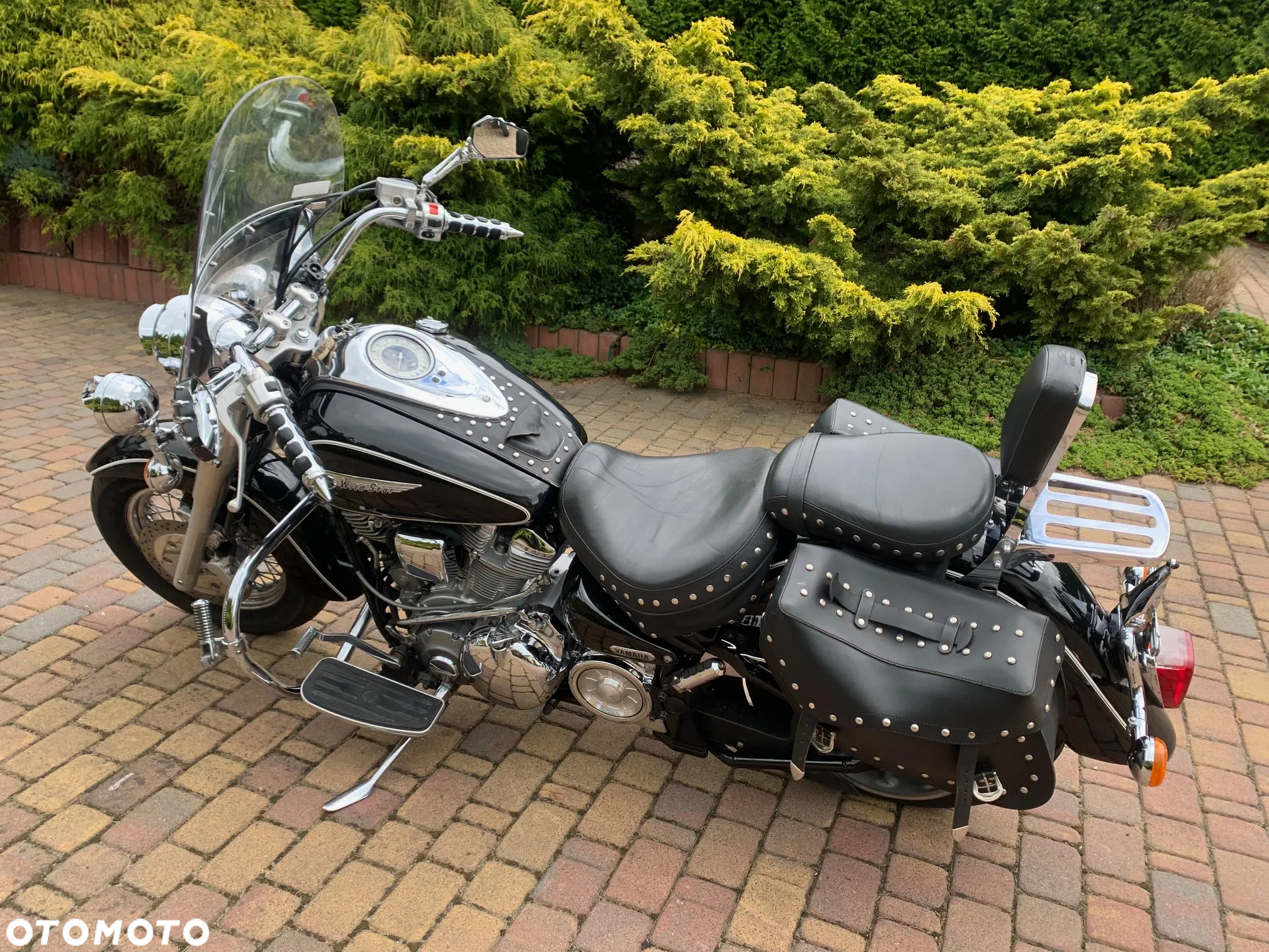 Yamaha Wild star - 4