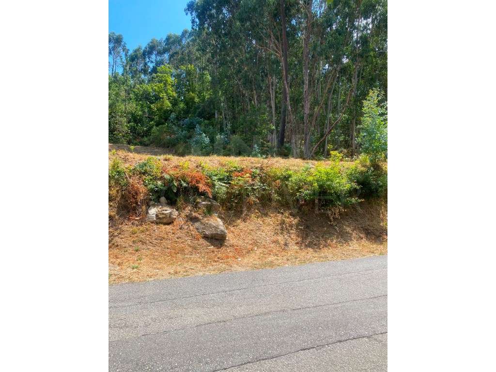 Terreno para construção - Ganfei, Valença - Grande imagem: 3/8