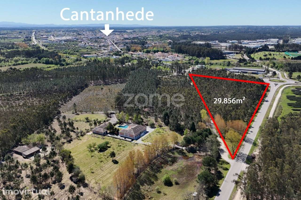 Oportunidade em Cantanhede: 3 Hectares de Potencial Ilimitado! - Grande imagem: 5/15