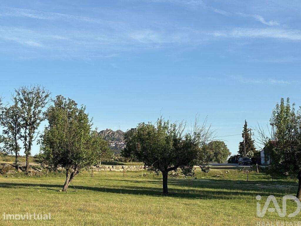 Terreno Agrícola em Monsanto e Idanha-a-Velha - Grande imagem: 3/33