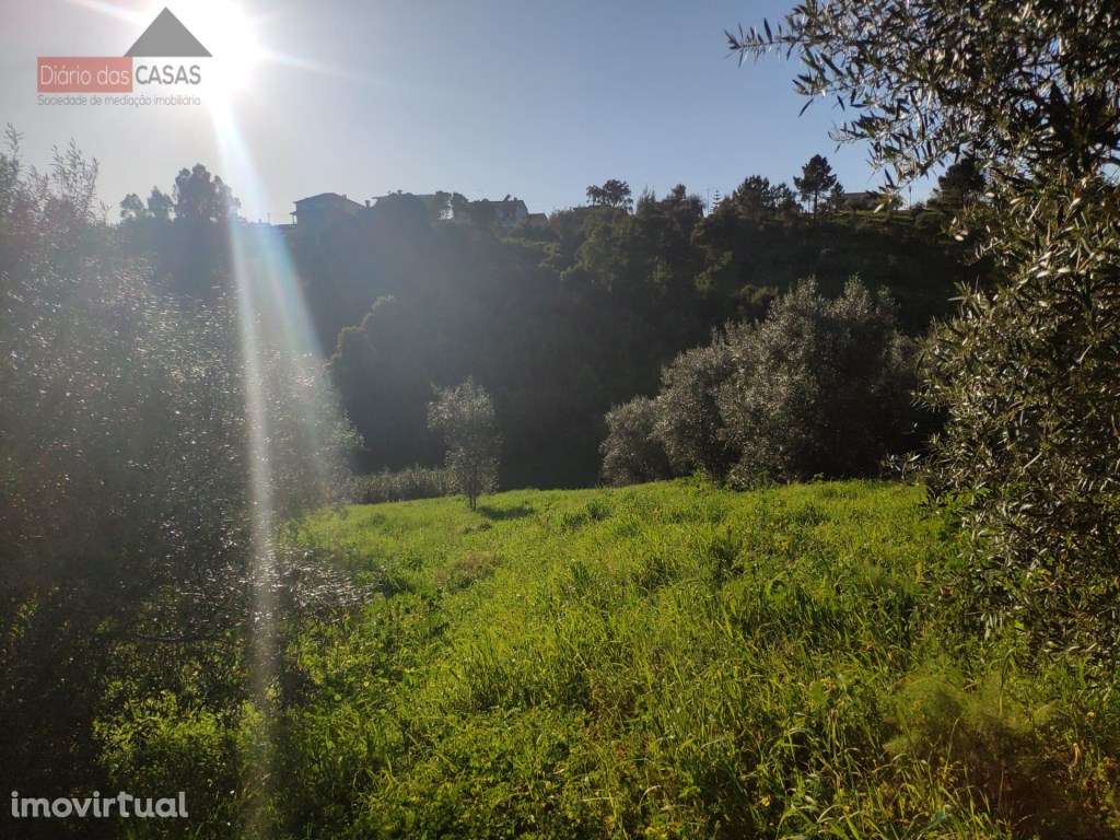 Terreno com viabilidade de construção Rocha Nova - Grande imagem: 3/4