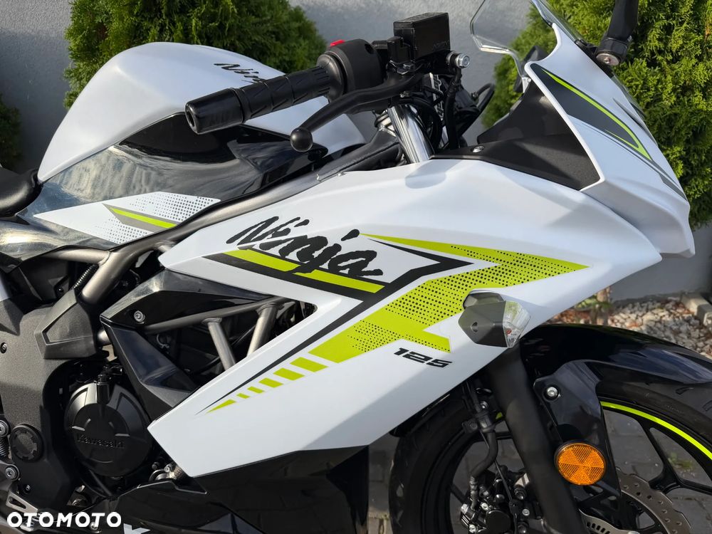 Kawasaki Ninja - 15