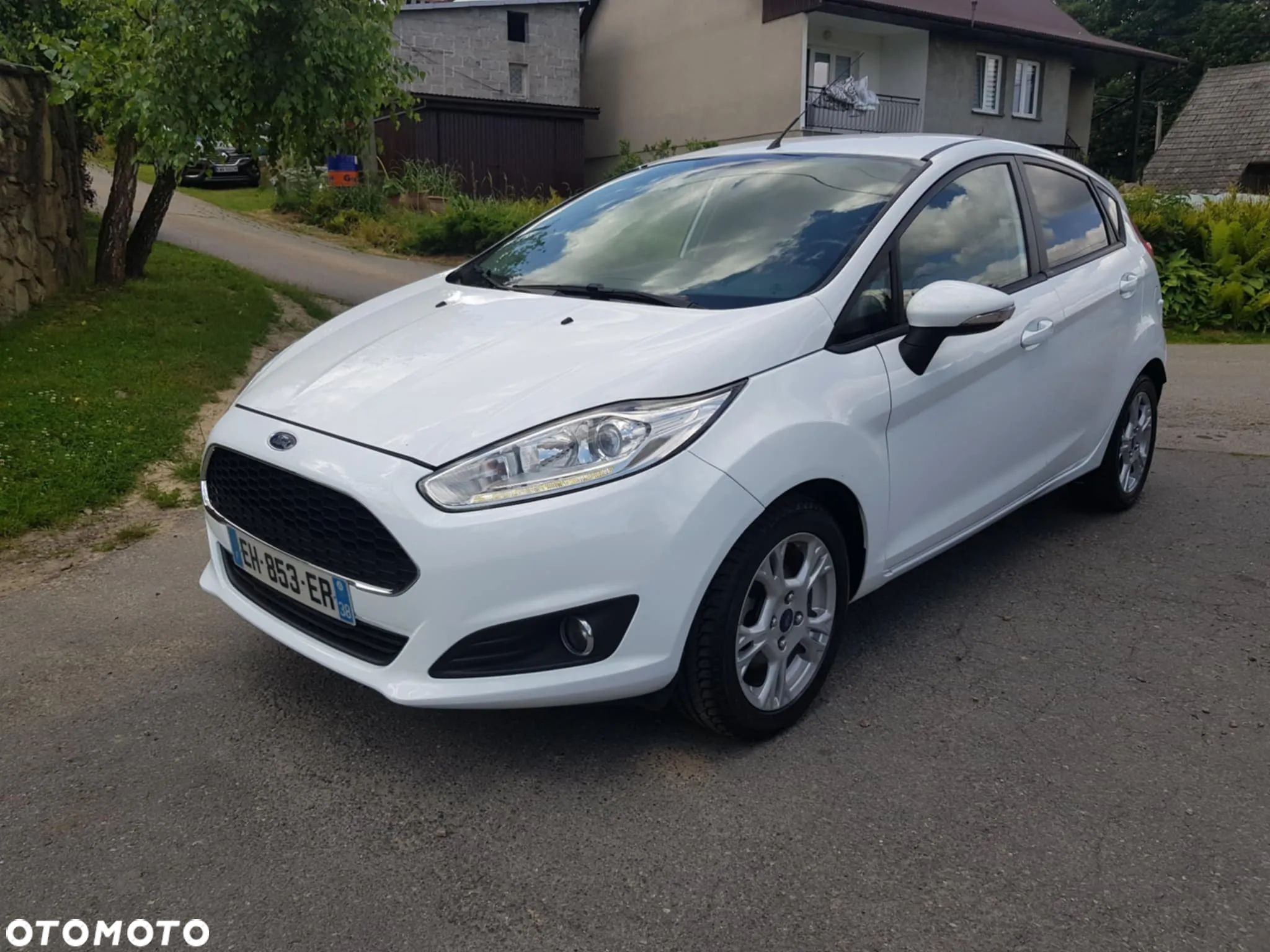 Ford Fiesta - 1