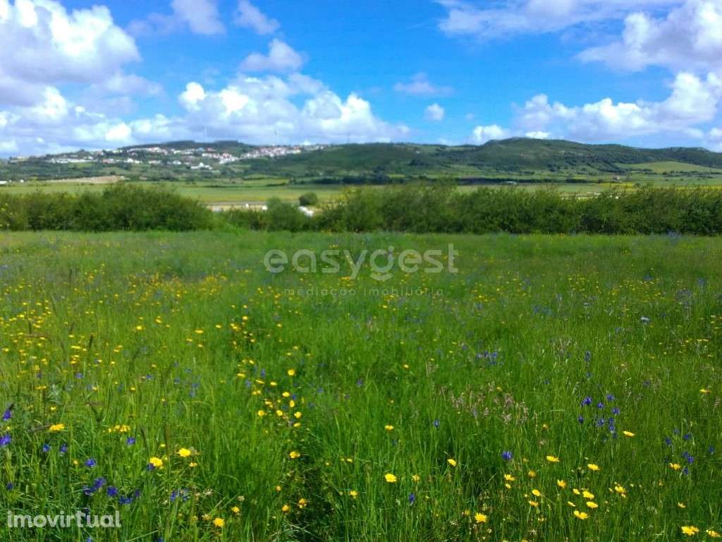 Terreno com 23160m2-situado em limites do Casal do Urmal - Grande imagem: 5/28