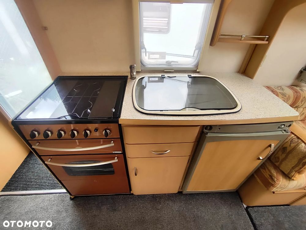 Coachman Amara - 15