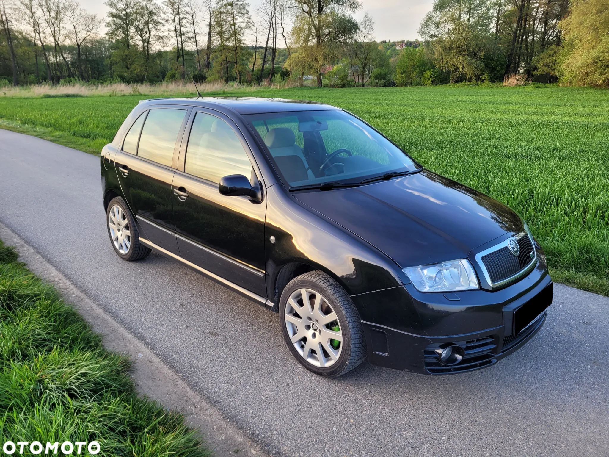 Skoda Fabia 1.9 TDI RS - 9