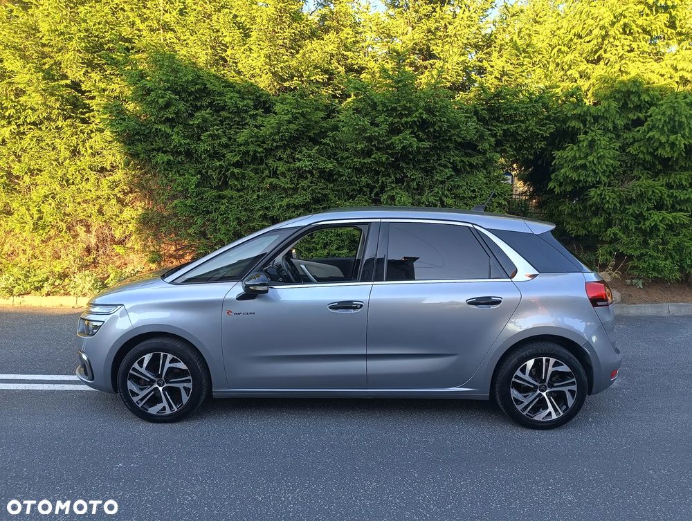 Citroën C4 SpaceTourer 1.2 PureTech Rip Curl S&S EAT8 - 24