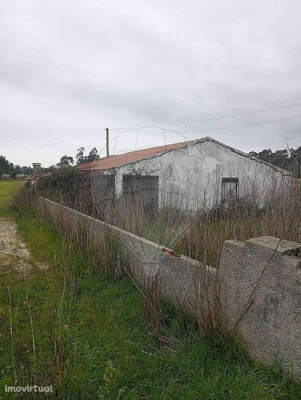 Quinta  para venda - Grande imagem: 4/14