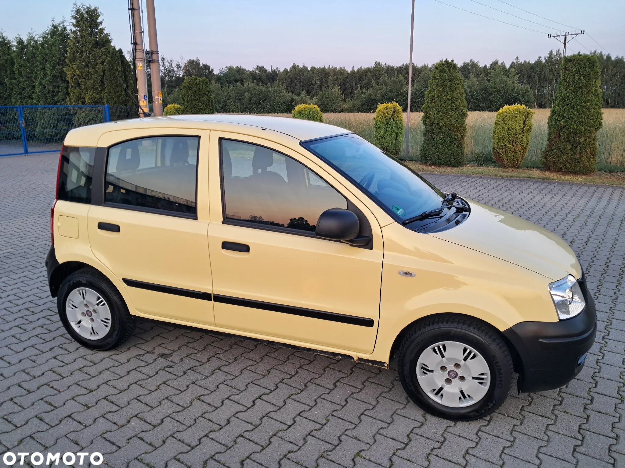 Fiat Panda 1.1 Actual Eco - 8