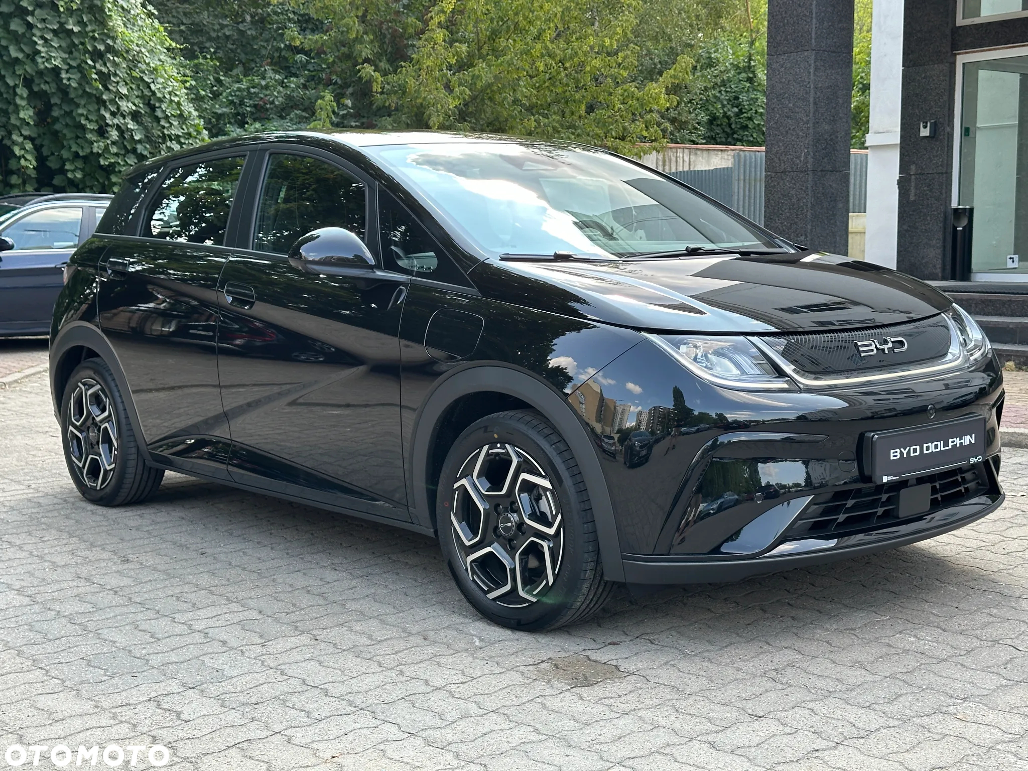 BYD Dolphin - 7