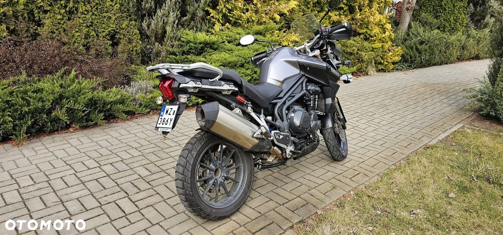 Triumph Tiger - 4